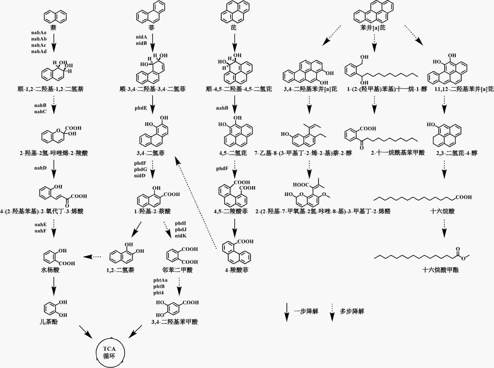 Journal of Community Health期刊最新论文, 化学/材料, - X-MOL